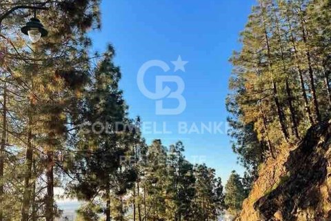 Tomt till salu i Malaga, Spanien 878 kvm. Nr. 159708 - foto 8