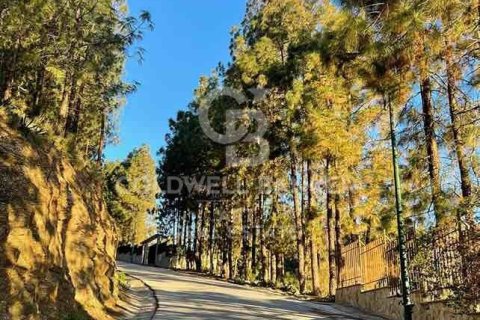 Tomt till salu i Malaga, Spanien 878 kvm. Nr. 159708 - foto 4