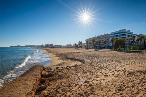Huoneisto myytävänä Torrevieja, Alicante, Espanja, 3 makuuhuonetta, 142 m2 No. 136517 - kuva 3