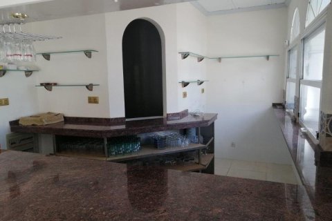 Commercial property for sale in Guardamar del Segura, Alicante, Spain 101 sq.m. No. 149108 - photo 21