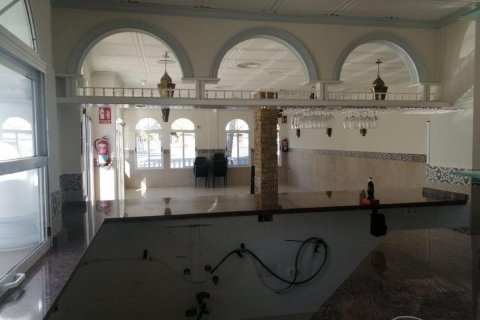 Commercial property for sale in Guardamar del Segura, Alicante, Spain 101 sq.m. No. 149108 - photo 12