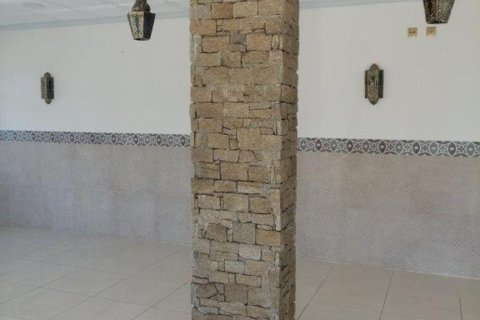 Commercial property for sale in Guardamar del Segura, Alicante, Spain 101 sq.m. No. 149108 - photo 22