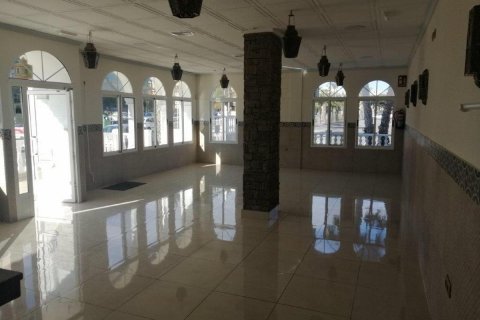 Commercial property for sale in Guardamar del Segura, Alicante, Spain 101 sq.m. No. 149108 - photo 13