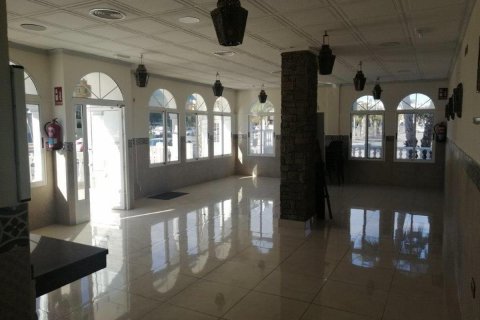 Commercial property for sale in Guardamar del Segura, Alicante, Spain 101 sq.m. No. 149108 - photo 10