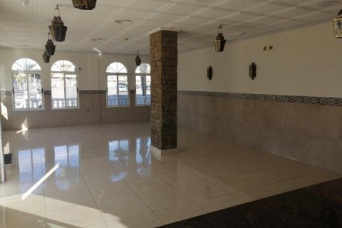 Commercial property for sale in Guardamar del Segura, Alicante, Spain 101 sq.m. No. 149108 - photo 17
