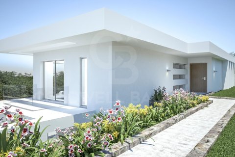 Villa in Javea, Alicante, Spanien 4 Schlafzimmer, 434 m2 Nr. 158651