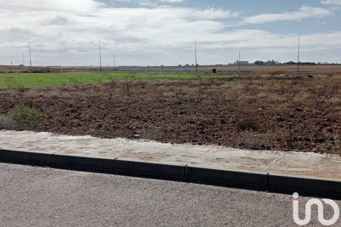 Terreno a Canada Rosal, Seville, Spagna 381 mq. N° 186077