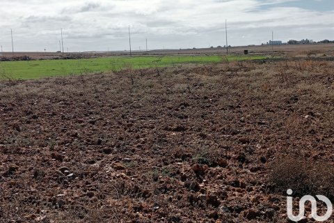 Terreno in vendita a Canada Rosal, Seville, Spagna 381 mq. N° 186077 - foto 5
