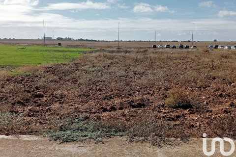 Terreno in vendita a Canada Rosal, Seville, Spagna 381 mq. N° 186077 - foto 6