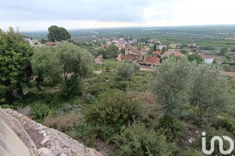 Land plot for sale in Vinaros, Castellon, Spain 600 sq.m. No. 186078 - photo 4