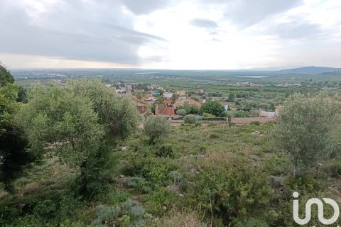 Land plot for sale in Vinaros, Castellon, Spain 600 sq.m. No. 186078 - photo 5