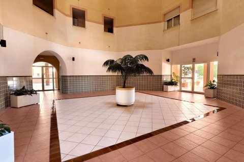 Apartamento en venta en Torrevieja, Alicante, España 2 dormitorios, 63 m2 No. 148016 - foto 10