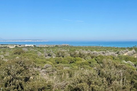 Продажа квартиры в Гуардамар-дель-Сегура, Аликанте, Испания 3 спальни, 79м2 №165895 - фото 7