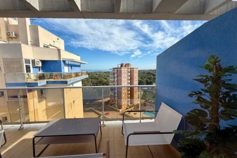 Продажа квартиры в Гуардамар-дель-Сегура, Аликанте, Испания 3 спальни, 79м2 №165895 - фото 21