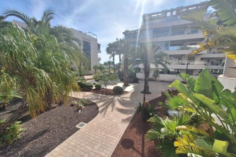 Wohnung zum Verkauf in Los Dolses, Alicante, Spanien 1 Schlafzimmer, 96 m2 Nr. 165893 - Foto 15