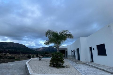 Villa à vendre à Pinoso, Alicante, Espagne, 3 chambres, 209 m2 No. 193405 - photo 29