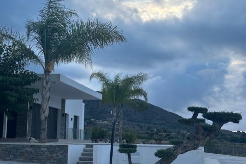 Villa à vendre à Pinoso, Alicante, Espagne, 3 chambres, 209 m2 No. 193405 - photo 25
