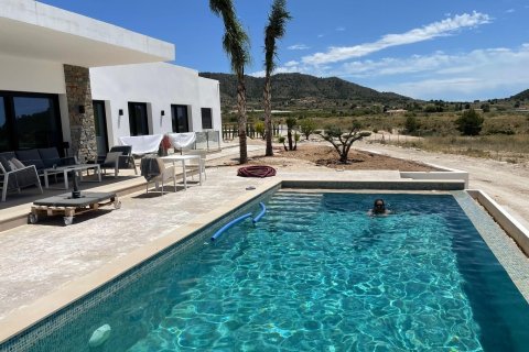 Villa à vendre à Pinoso, Alicante, Espagne, 3 chambres, 209 m2 No. 193405 - photo 11
