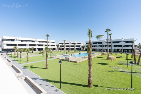 Wohnung zum Verkauf in Guardamar del Segura, Alicante, Spanien 3 Schlafzimmer, 97 m2 Nr. 154421 - Foto 15