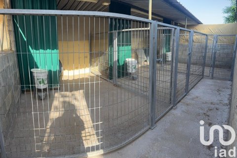 House zum Verkauf in Elche, Alicante, Spanien 1 Schlafzimmer, 98 m2 Nr. 153142 - Foto 27