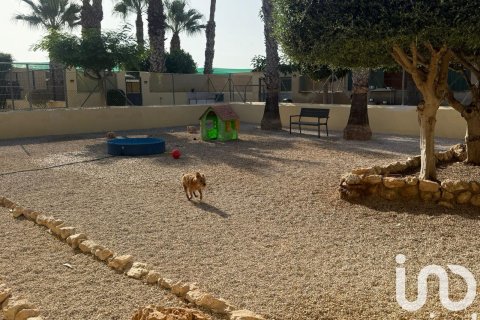 House zum Verkauf in Elche, Alicante, Spanien 1 Schlafzimmer, 98 m2 Nr. 153142 - Foto 9