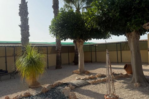 House zum Verkauf in Elche, Alicante, Spanien 1 Schlafzimmer, 98 m2 Nr. 153142 - Foto 4