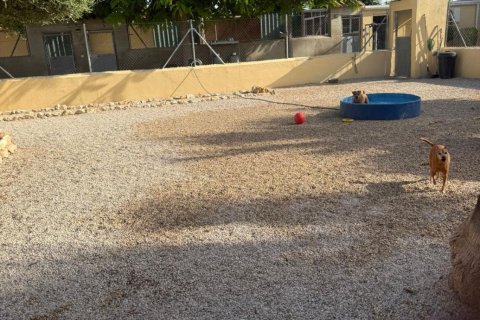 House zum Verkauf in Elche, Alicante, Spanien 1 Schlafzimmer, 98 m2 Nr. 153142 - Foto 13