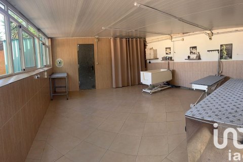 House zum Verkauf in Elche, Alicante, Spanien 1 Schlafzimmer, 98 m2 Nr. 153142 - Foto 17