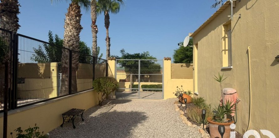 House in Elche, Alicante, Spanien 1 Schlafzimmer, 98 m2 Nr. 153142