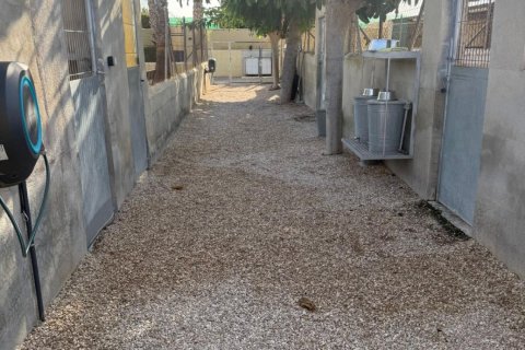 House zum Verkauf in Elche, Alicante, Spanien 1 Schlafzimmer, 98 m2 Nr. 153142 - Foto 25