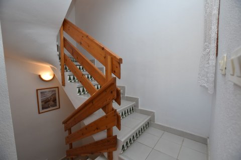 Commercial property à vendre à Torrevieja, Alicante, Espagne, 3 chambres, 80 m2 No. 140673 - photo 13