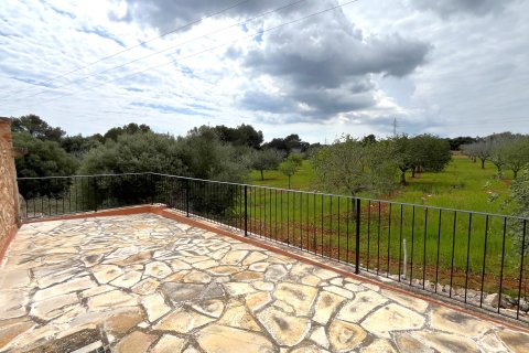 Finca en alquiler en Portocolom, Mallorca, España 4 dormitorios, 302 m2 No. 154698 - foto 13