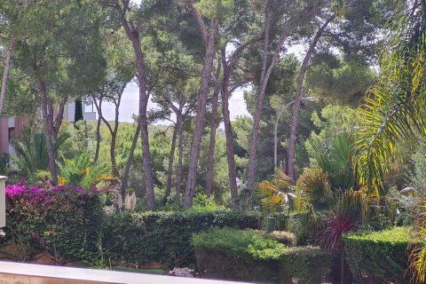 Продажа квартиры в Соль-де-Майорка, Майорка, Испания 3 спальни, 179м2 №154695 - фото 3