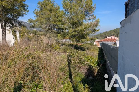 Продажа земельного участка в Каньелес, Барселона, Испания 784м2 №185180 - фото 7