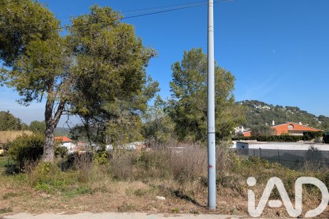 Terreno a Canyelles, Barcelona, Spagna 784 mq. N° 185180