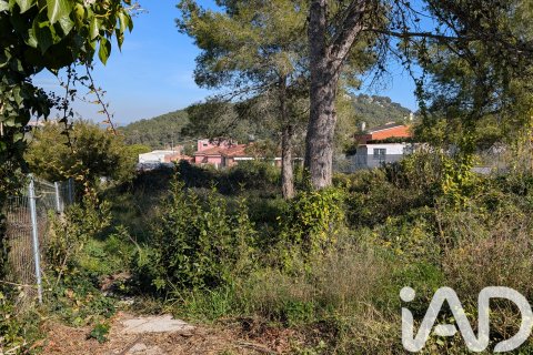 Продажа земельного участка в Каньелес, Барселона, Испания 784м2 №185180 - фото 4