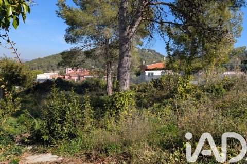 Продажа земельного участка в Каньелес, Барселона, Испания 784м2 №185180 - фото 3