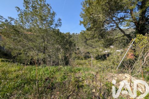 Terreno a Canyelles, Barcelona, Spagna 927 mq. N° 185183