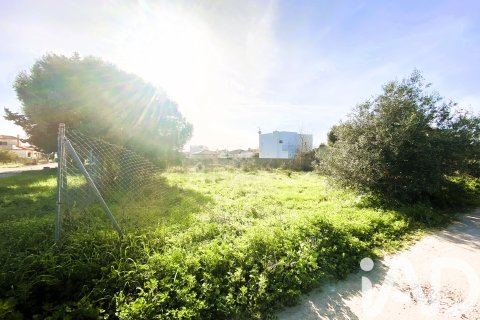 Tontti Chiclana de la Frontera, Cadiz, Espanja 461.4 m2 No. 185182