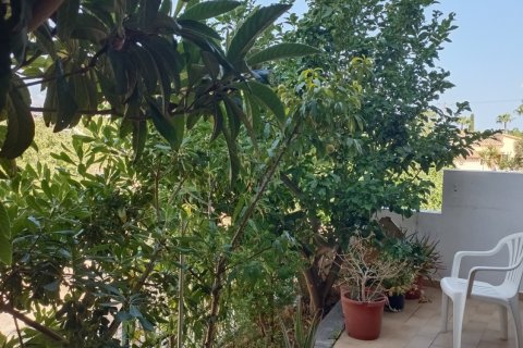 Lägenhet till salu i Alcudia, Mallorca, Spanien 3 sovrum, 124 kvm. Nr. 153288 - foto 28