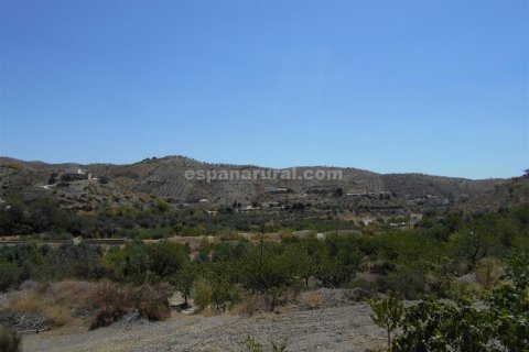 Villa zum Verkauf in Albox, Almeria, Spanien 1 Schlafzimmer, 100 m2 Nr. 184137 - Foto 8