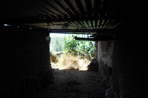 Talo myytävänä Oria, Almeria, Espanja, 4 makuuhuonetta, 200 m2 No. 184136 - kuva 7