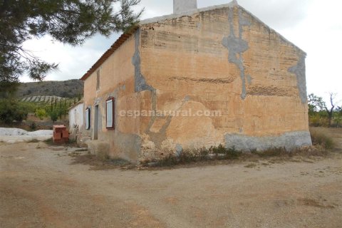 Продажа дома в Ория, Альмерия, Испания 7 спален, 280м2 №184141 - фото 8