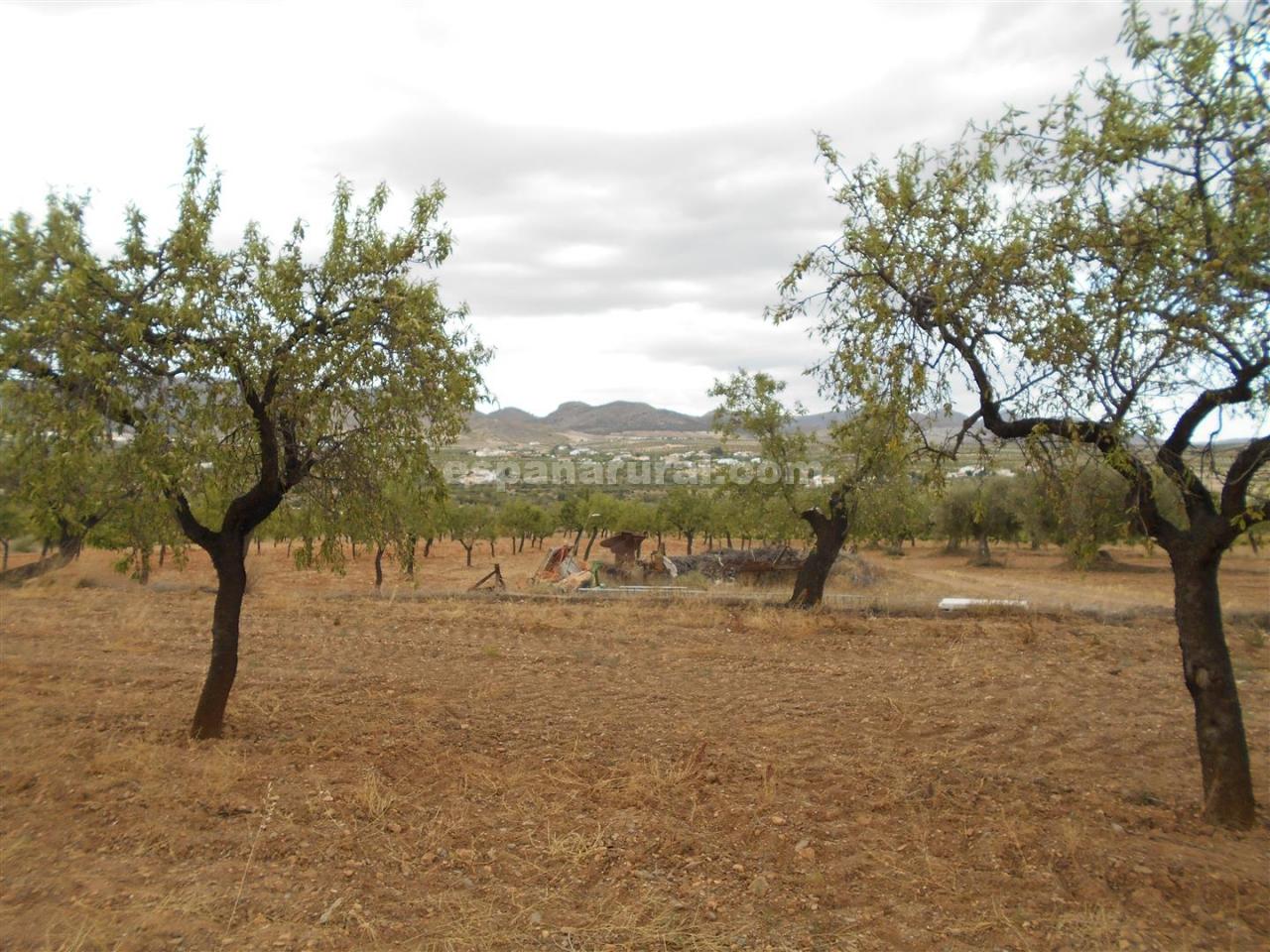 House in Oria, Almeria, Spanien 7 Schlafzimmer, 280 m2 Nr. 184141