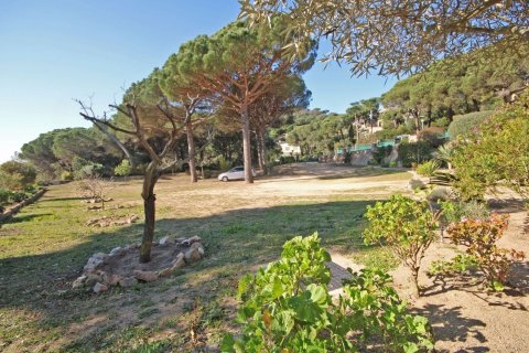 Dom w Lloret de Mar, Girona, Hiszpania 4 sypialnie, 350 mkw. nr 168484 – zdjęcie 11