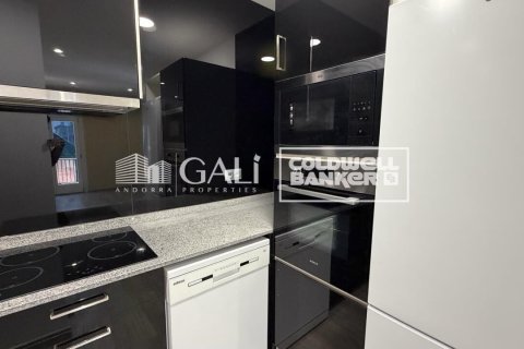 Apartament w Principado De Andorra (Ninguna Poblacion Tiene C.P.), Lleida, Hiszpania 2 sypialnie, 90 mkw. nr 178386 – zdjęcie 10