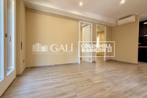 Apartament w Principado De Andorra (Ninguna Poblacion Tiene C.P.), Lleida, Hiszpania 2 sypialnie, 90 mkw. nr 178386 – zdjęcie 5