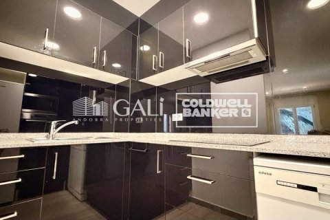 Apartament w Principado De Andorra (Ninguna Poblacion Tiene C.P.), Lleida, Hiszpania 2 sypialnie, 90 mkw. nr 178386 – zdjęcie 9