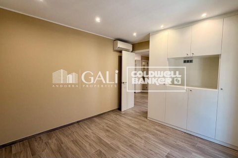 Apartament w Principado De Andorra (Ninguna Poblacion Tiene C.P.), Lleida, Hiszpania 2 sypialnie, 90 mkw. nr 178386 – zdjęcie 21