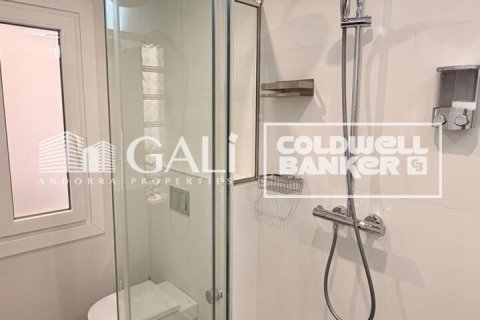 Apartament w Principado De Andorra (Ninguna Poblacion Tiene C.P.), Lleida, Hiszpania 2 sypialnie, 90 mkw. nr 178386 – zdjęcie 27